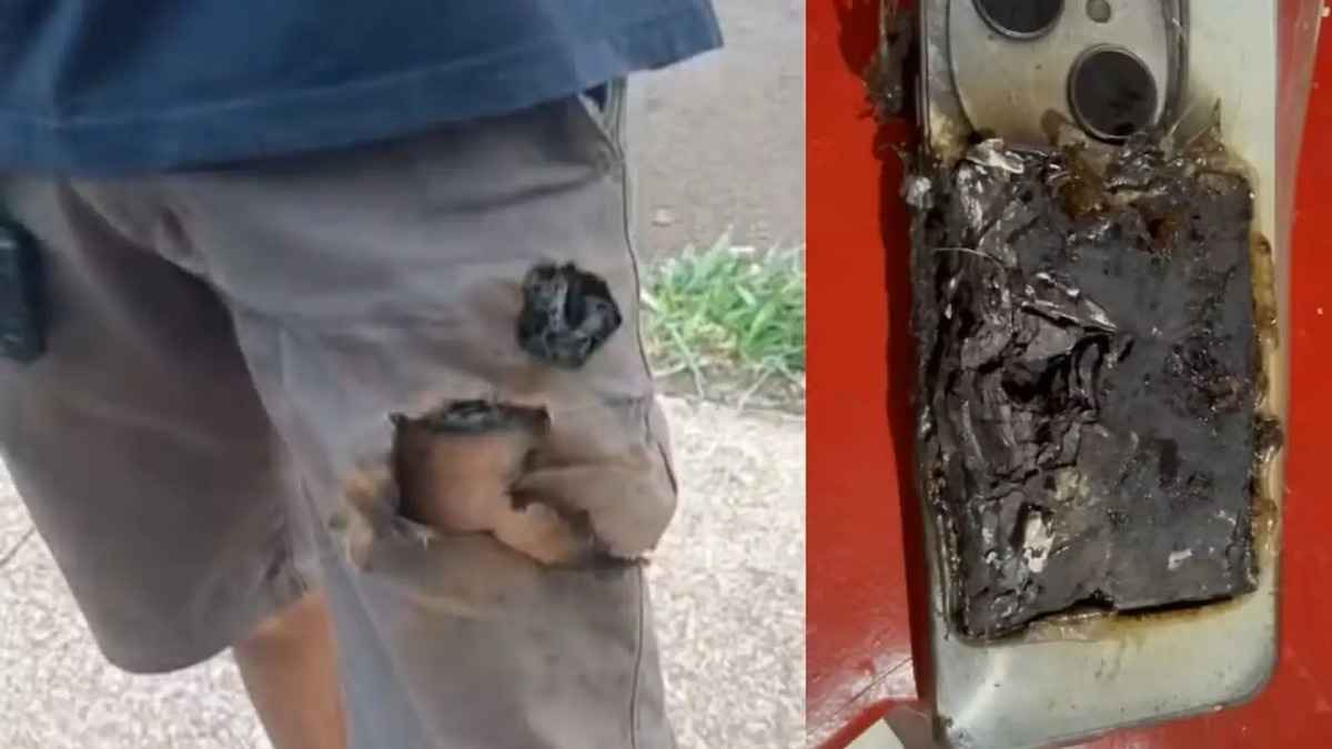 Brésil : une batterie de téléphone sauve un mécanicien d'une attaque canine