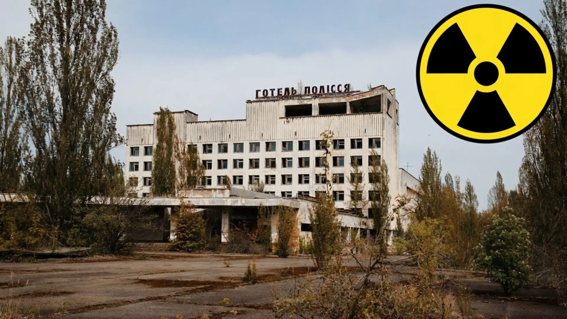 Chernobyl, quarante ans après : un paradis sauvage contaminé