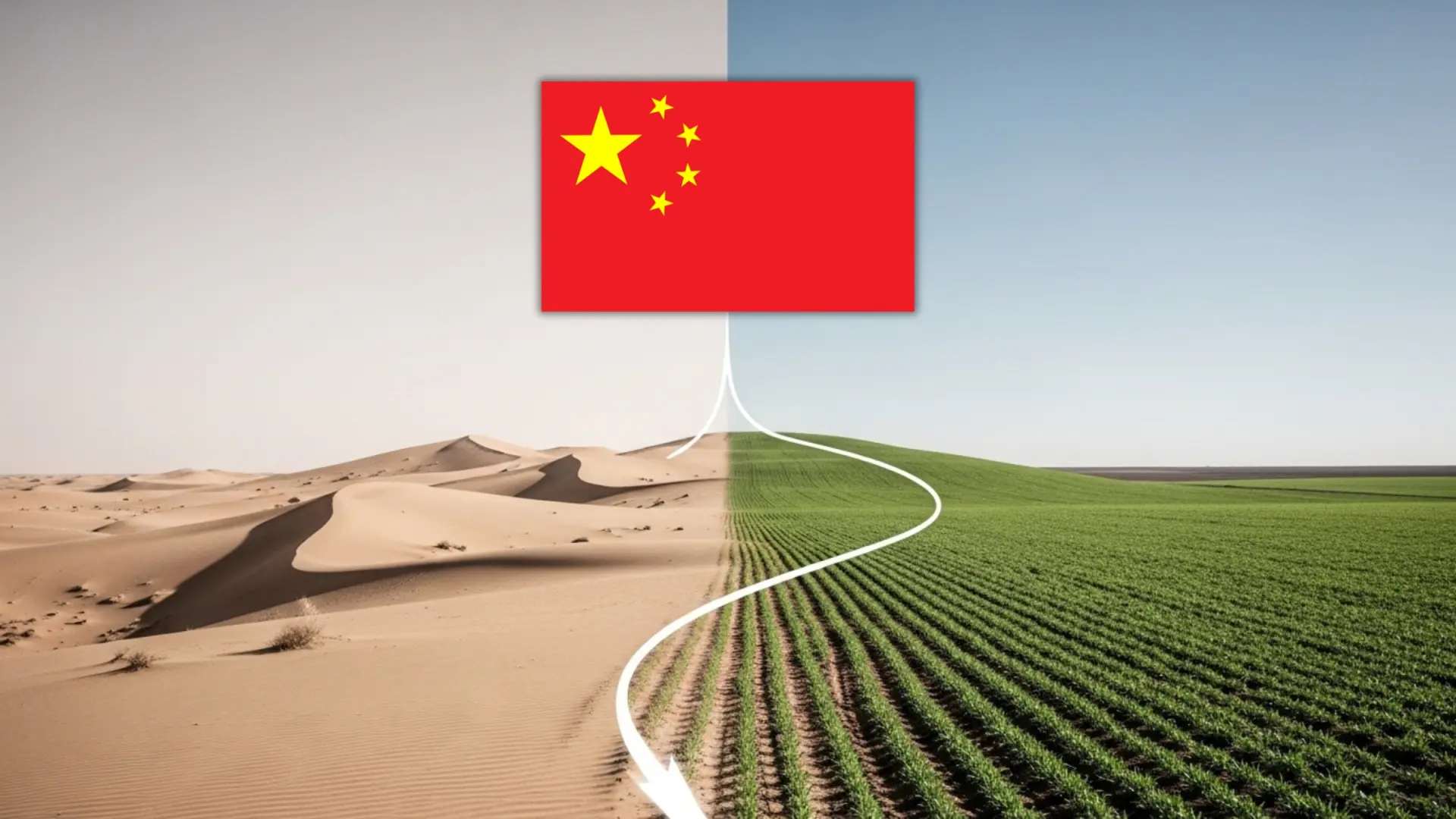 Chine : une technique révolutionnaire pour lutter contre la désertification