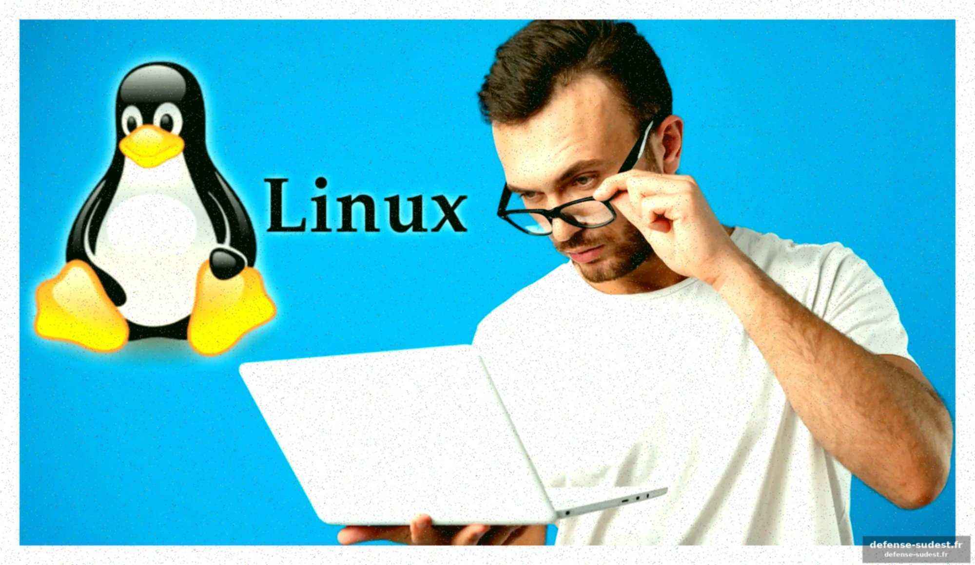Void linux, quant à lui, est une distribution indépendante, simple et versatile qui ne fait pas usage de systemd, préférant gérer le démarrage et les services avec runit.