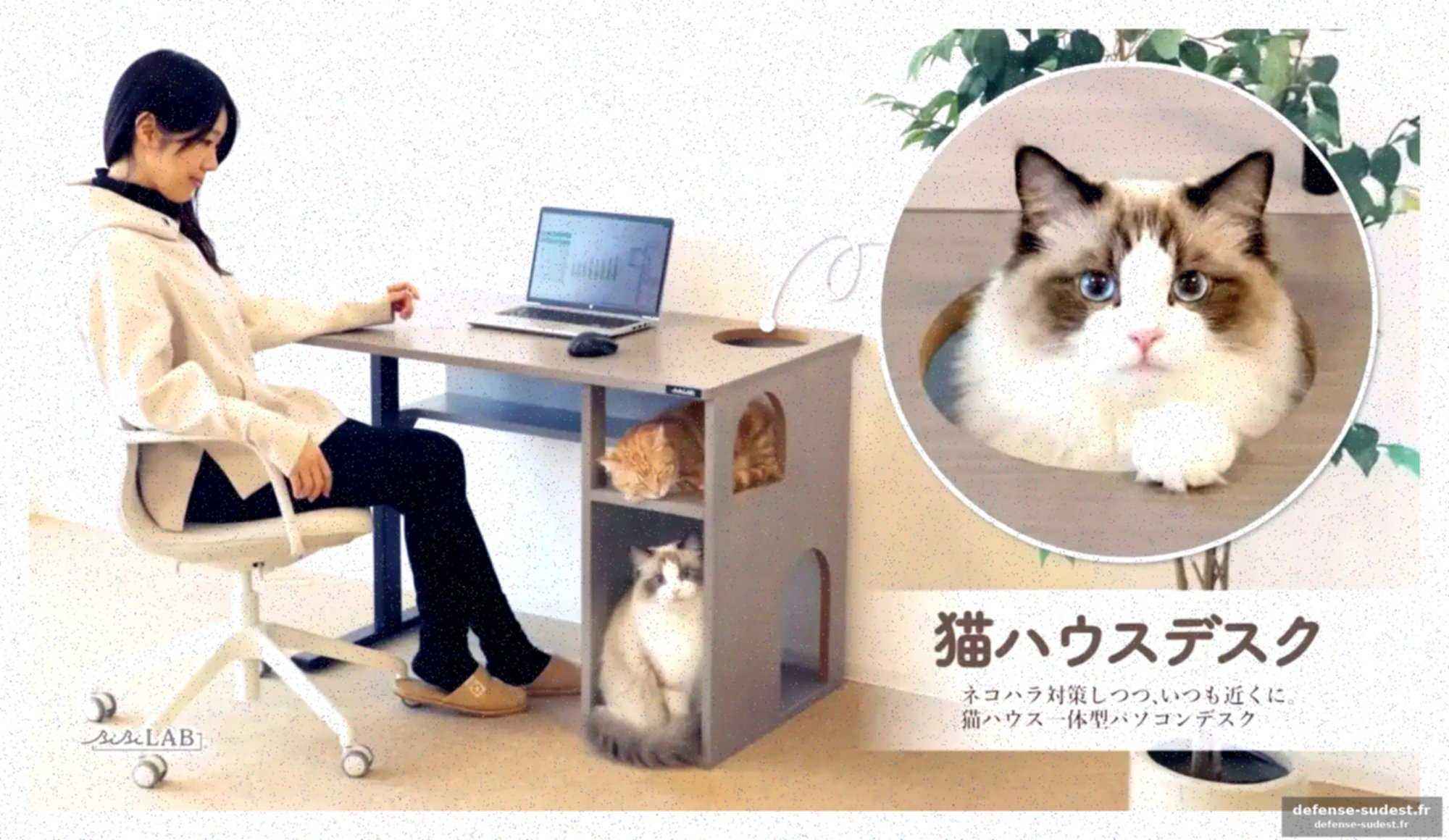 Un design pensé pour le confort des félins