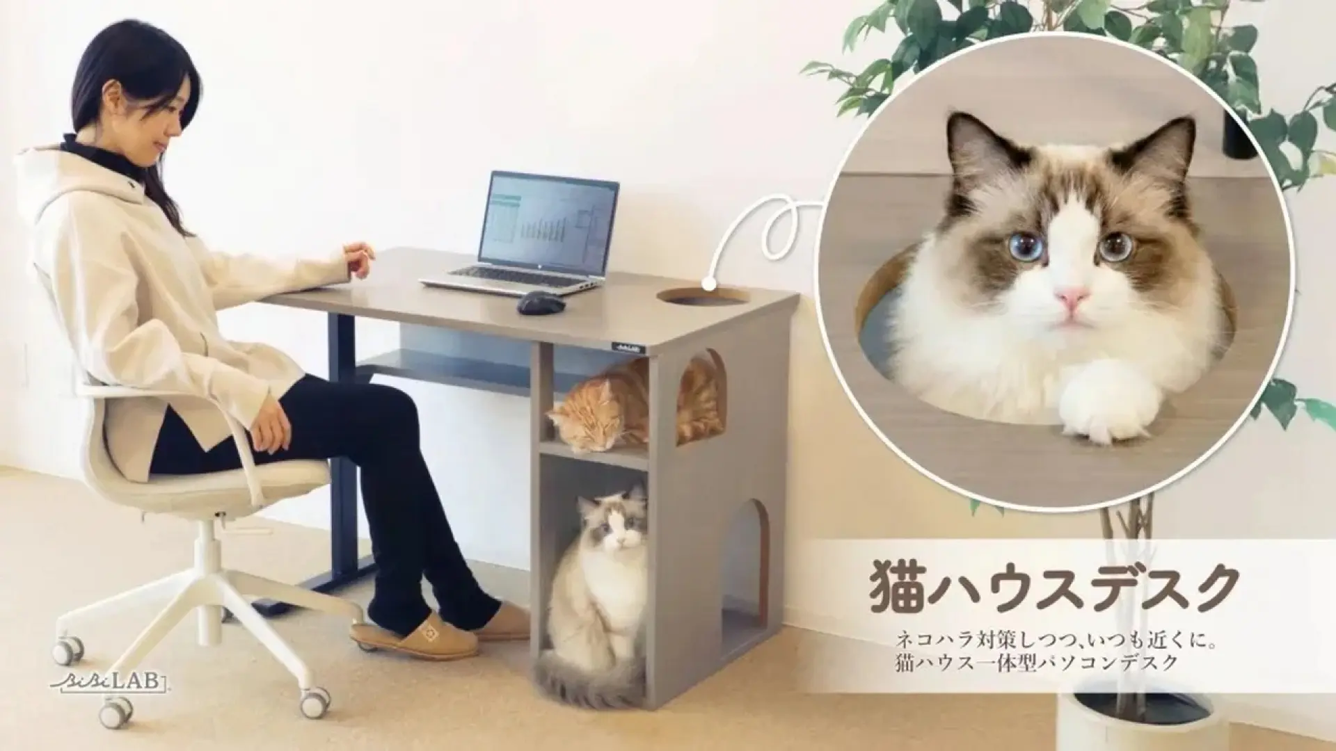 Gros, chats et ordinateurs : le bureau neko home révolutionne le télétravail
