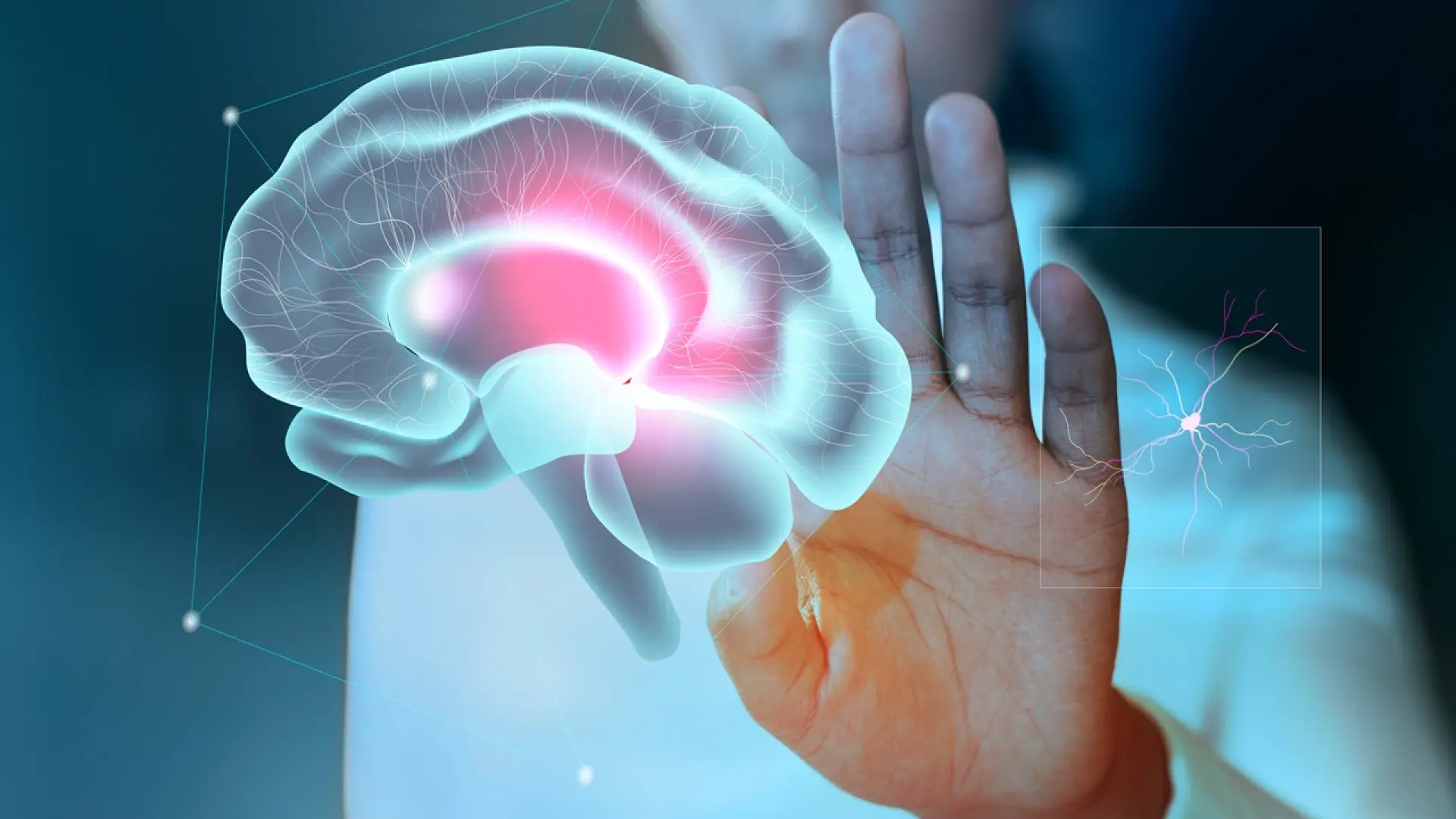 L'énigme de la conscience : une théorie audacieuse met en jeu la physique quantique