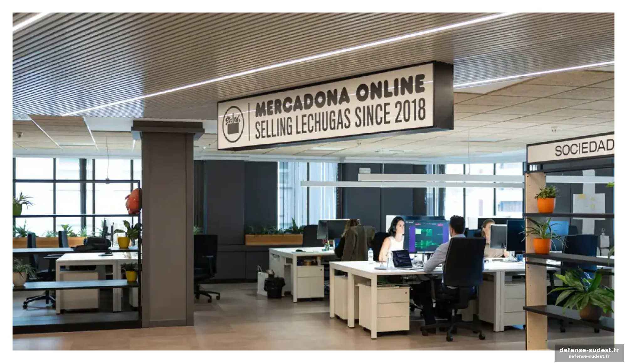 Le ‘vibe coding’ : un paradigme débatue